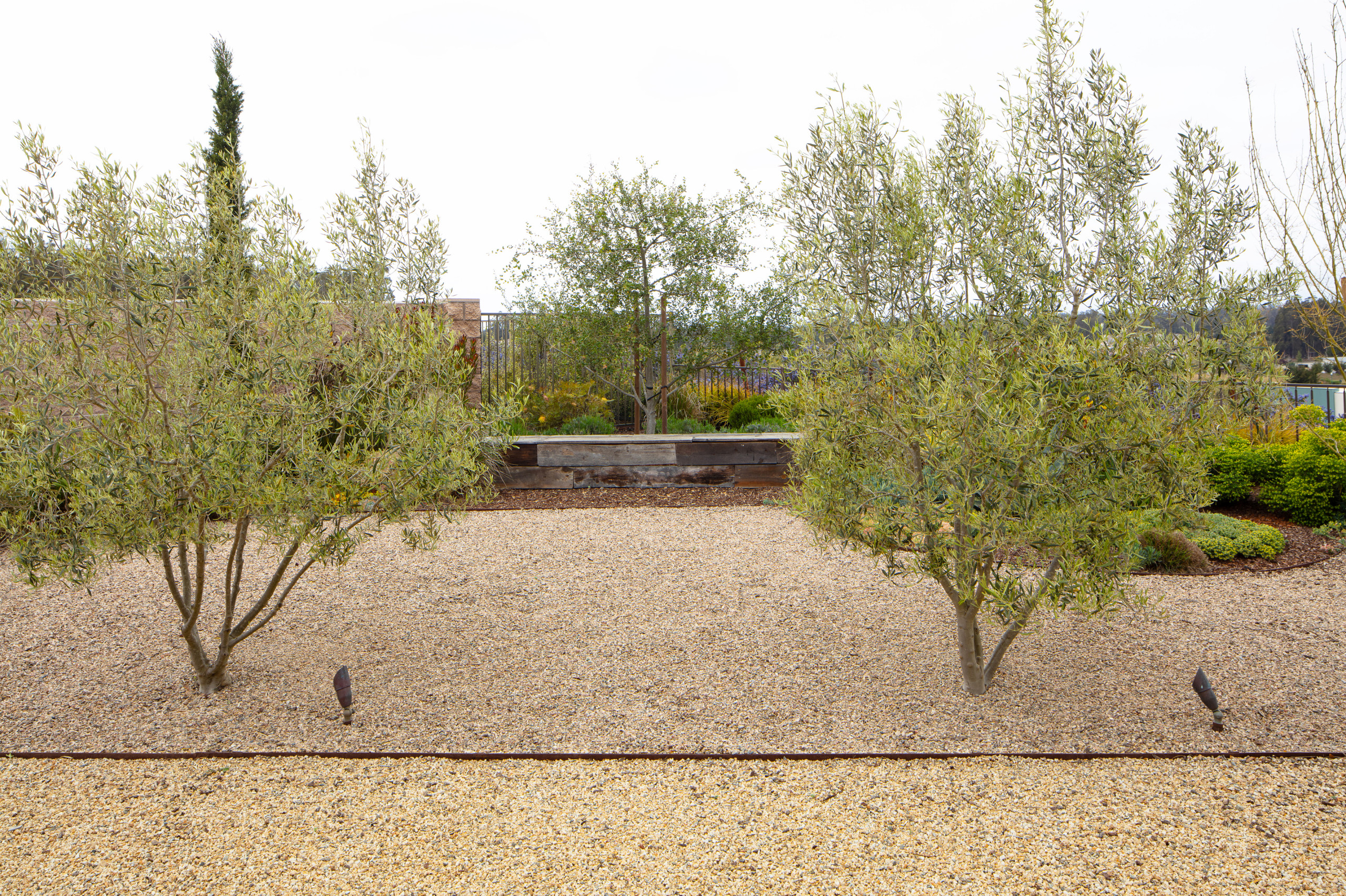 Trilogy Landscape and Outdoor Kitchen