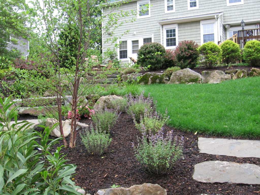 Backyard Landscape Designs