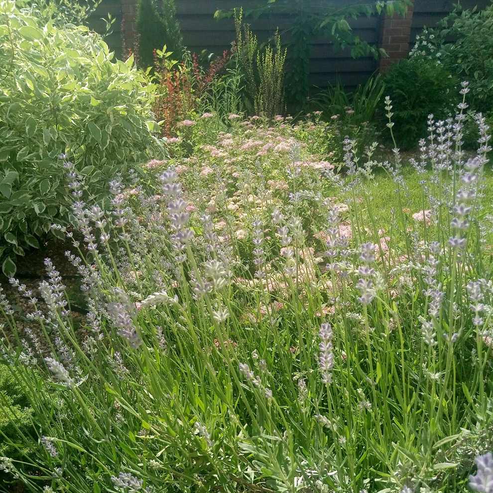 Сад в Рожновке