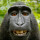 Last commented by Harkon Kramer