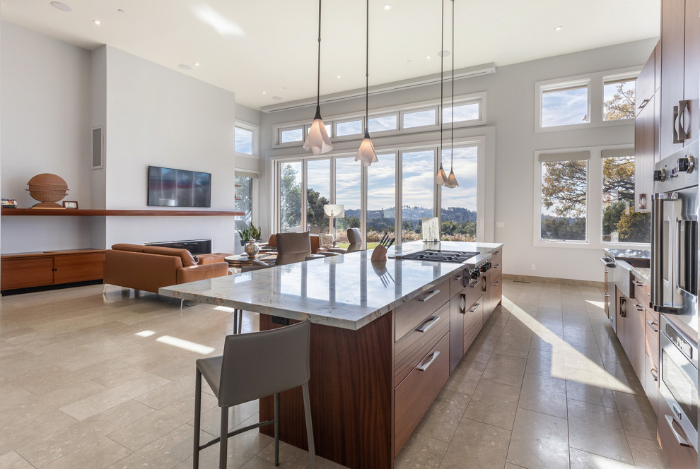 Panoramic Doors - Modern - Kitchen - Dallas - by Panoramic Doors