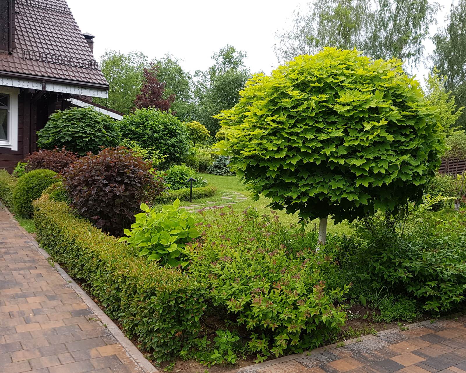 Летово Парк