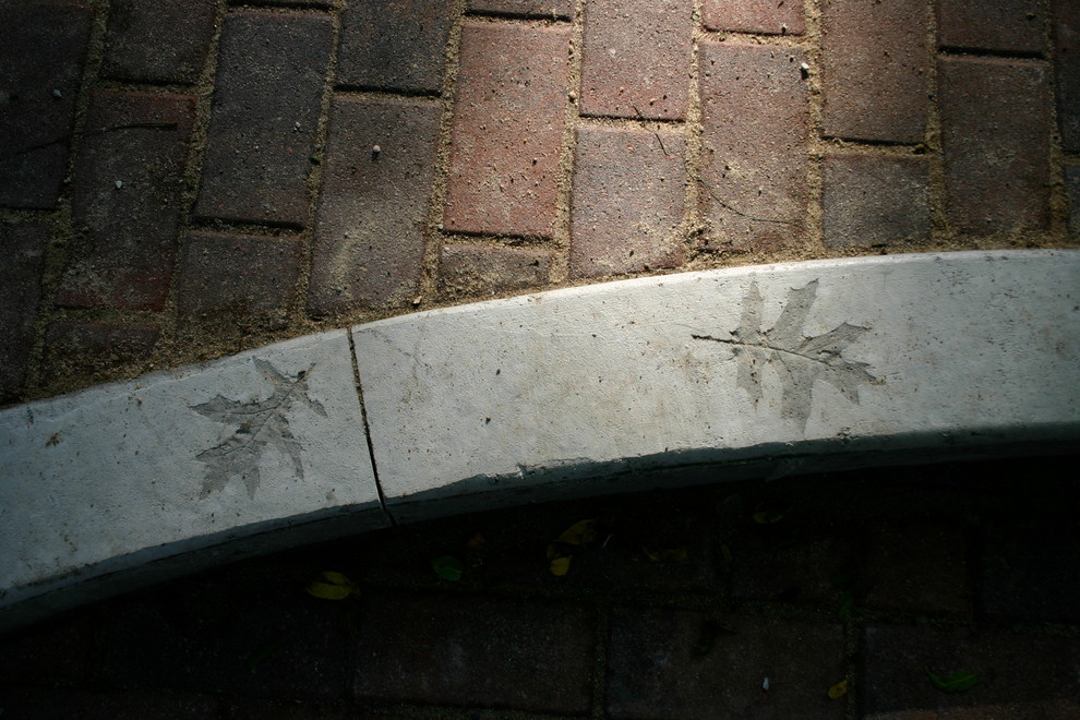 Example of a mid-sized transitional backyard brick patio design with no cover