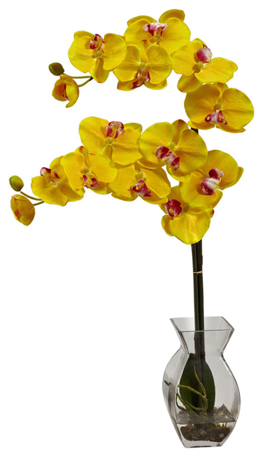Phalaenopsis Orchid With Vase Arrangement
