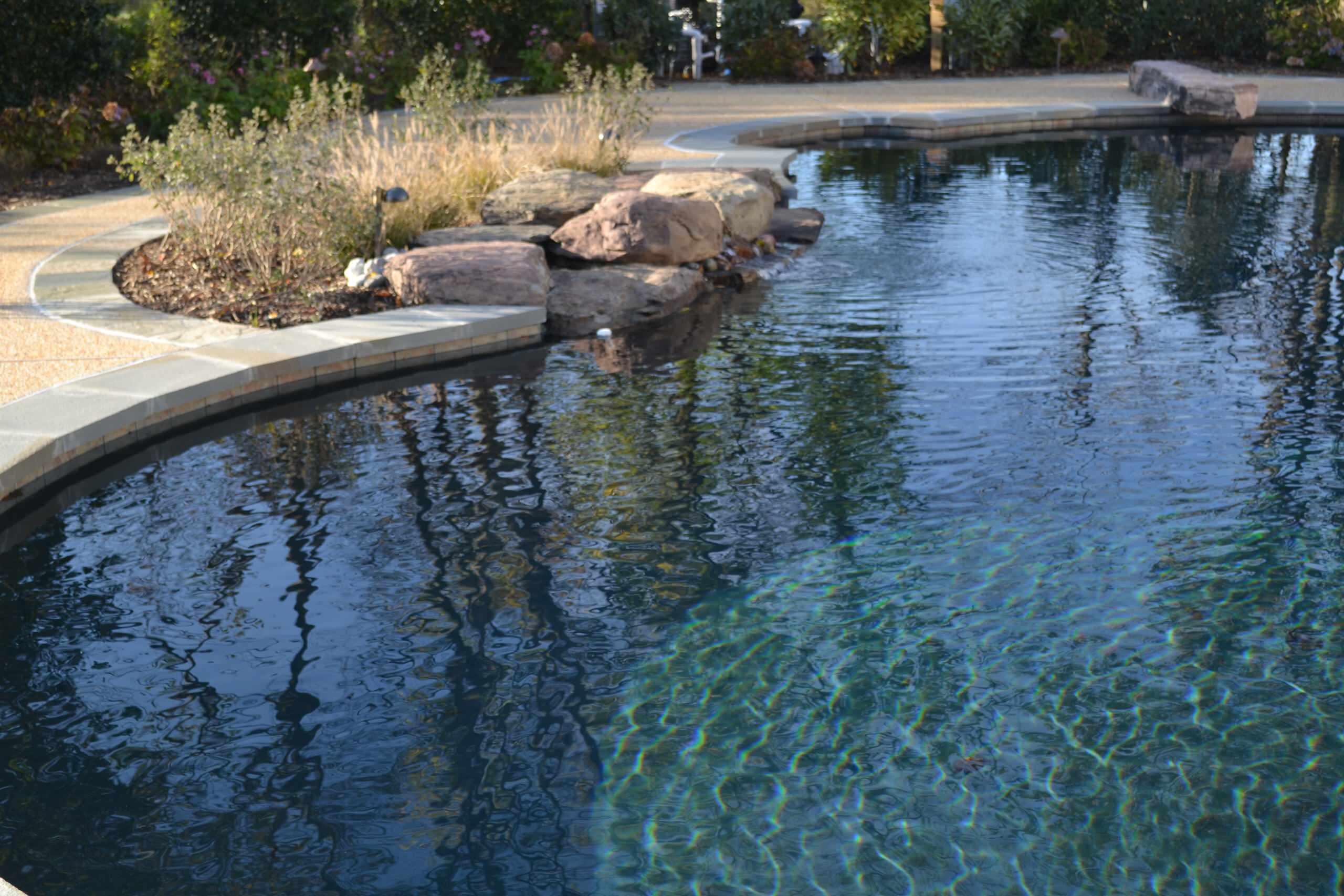 A Natural Pool