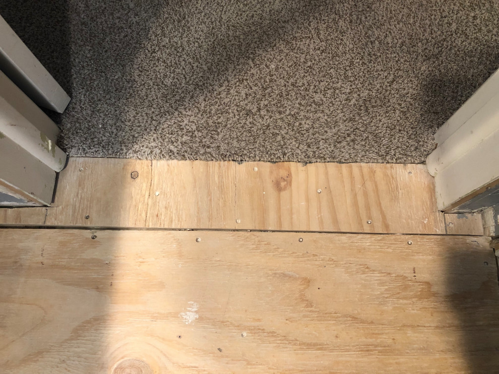 New LVP to existing carpet transition