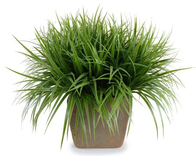New Growth Designs Ornamental Grass Artificial Flower Arrangements