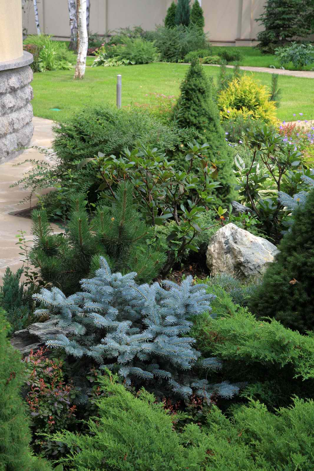 В теневом лесу