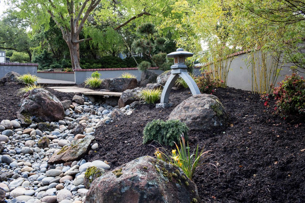 Inspiration for a contemporary garden in San Francisco.