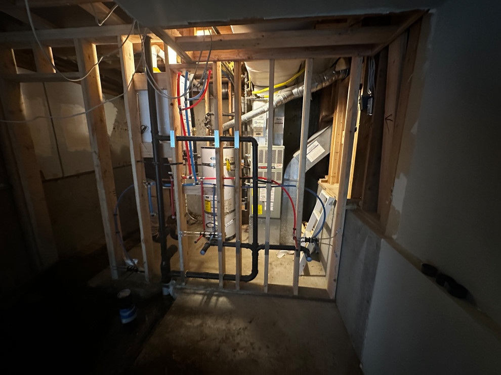 Federal Way Basement Remodel
