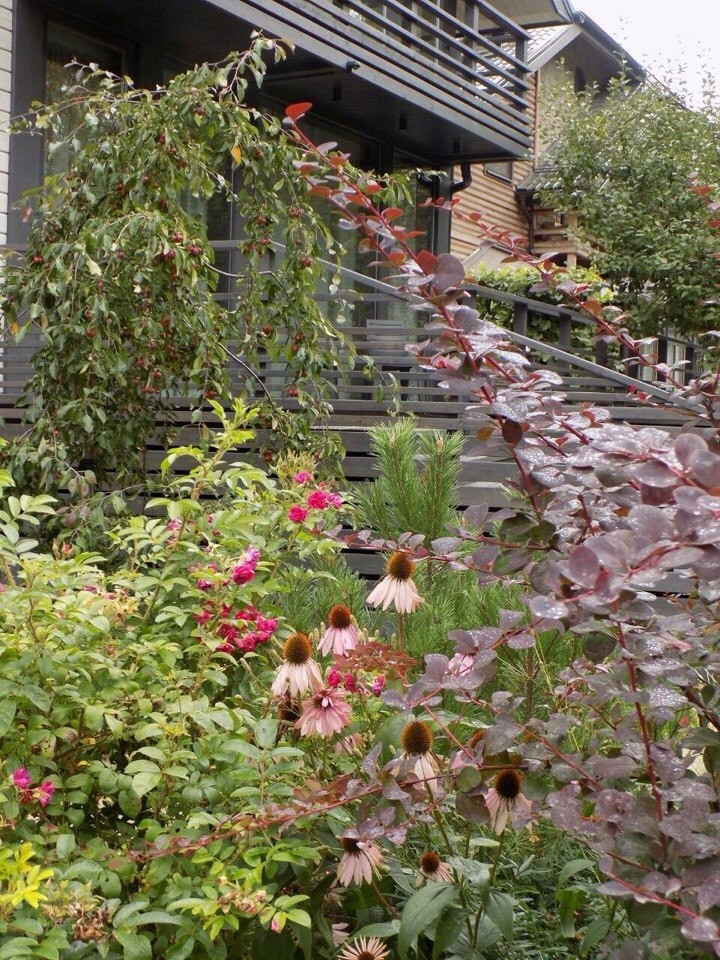 Озеленение, ландшафтный дизайн