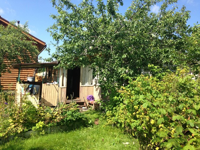 Die Datscha Oder Was Bedeutet Gluck Auf Russisch