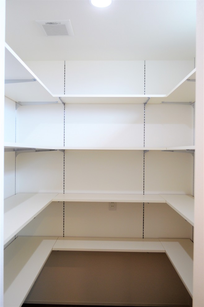 Exempel på ett mellanstort 60 tals walk-in-closet för kvinnor, med luckor med profilerade fronter, vita skåp, plywoodgolv och brunt golv