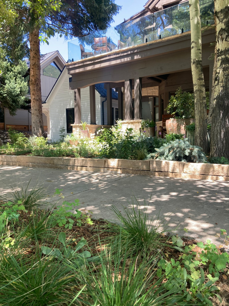 Ispirazione per un piccolo giardino xeriscape vittoriano esposto a mezz'ombra davanti casa in estate con un ingresso o sentiero e pavimentazioni in pietra naturale