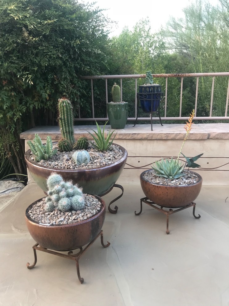 Photo of a patio in Phoenix.