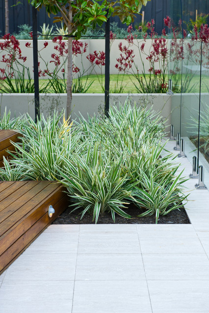 contemporary pool by cultivart landscape design astounding low maintenance garden border ideas - Modern Garden Ideas Australia contemporary pool by cultivart landscape design astounding low maintenance garden border ideas - Modern Garden Ideas Australia