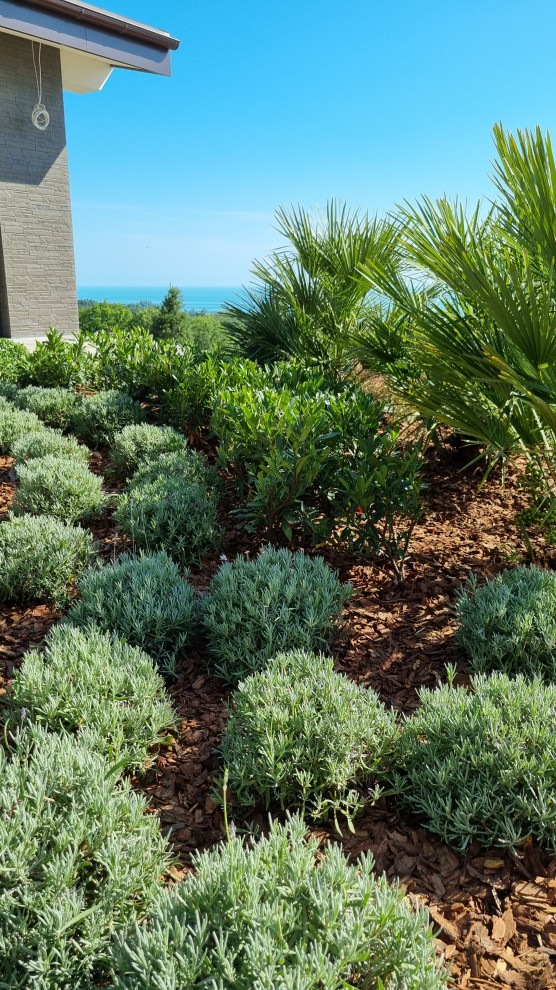 В лучах южного солнца.