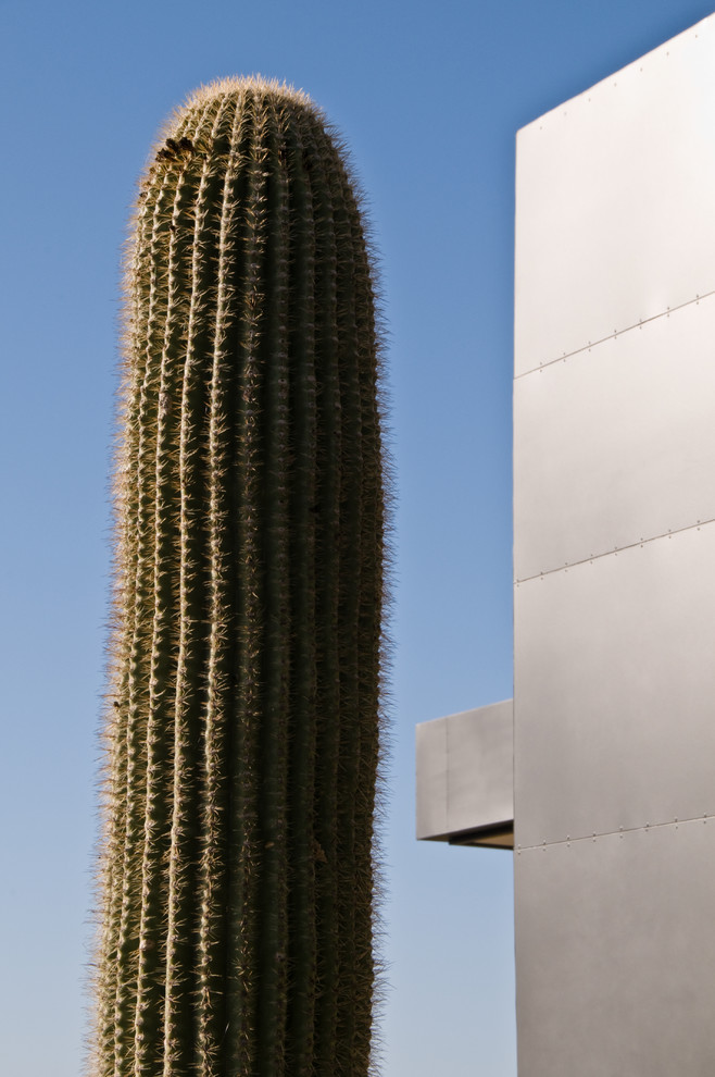 Inspiration for a modern exterior in Phoenix.