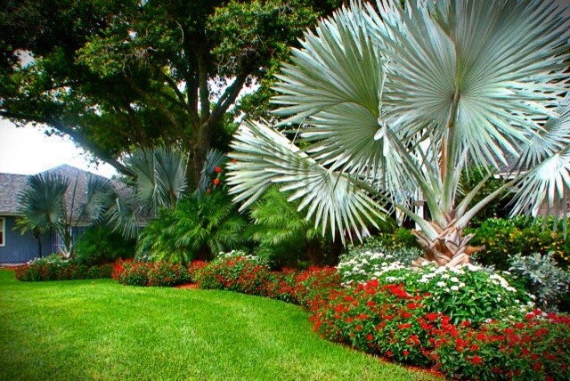 Inspiration for a mid-sized asian partial sun garden in Orlando with natural stone pavers.