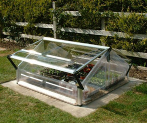 Cold Frame - Double Greenhouse