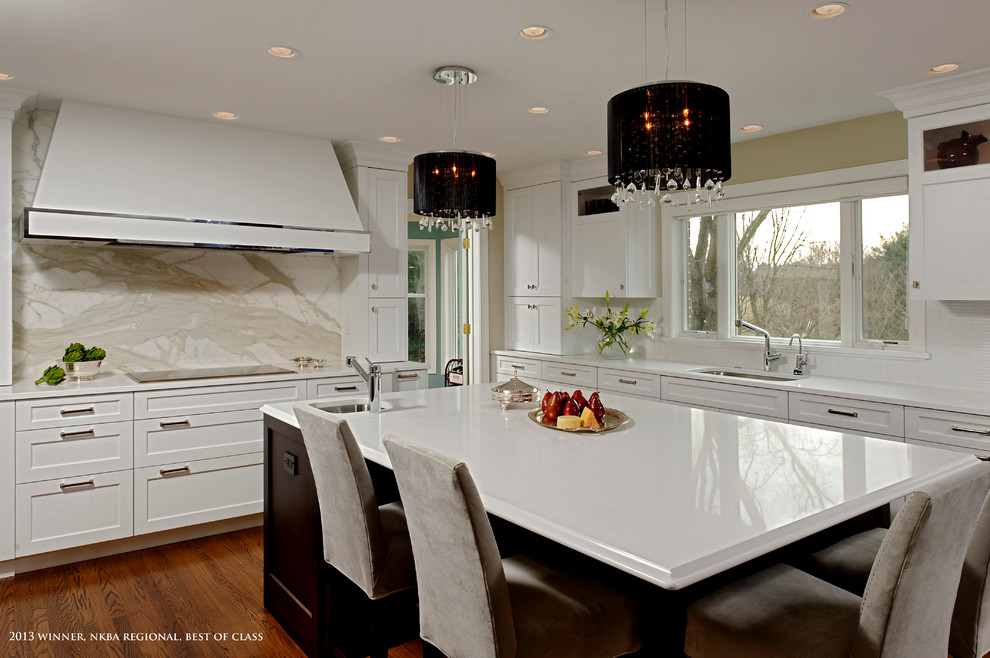 Kitchen - transitional kitchen idea in DC Metro