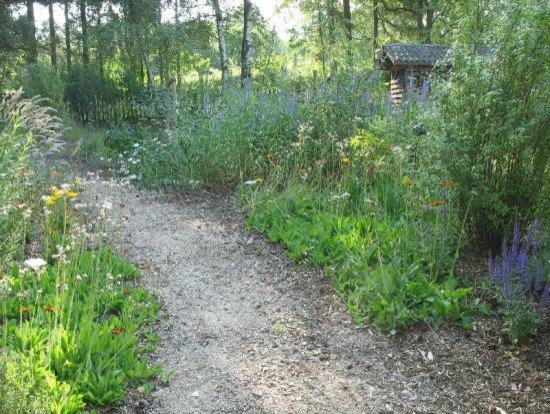 Gartengestaltung garden