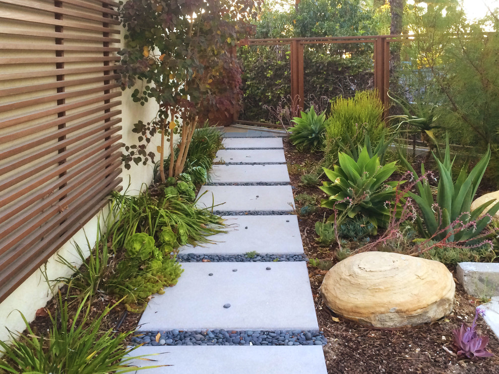 This is an example of a large modern front yard full sun garden in Los Angeles with a garden path and concrete pavers.
