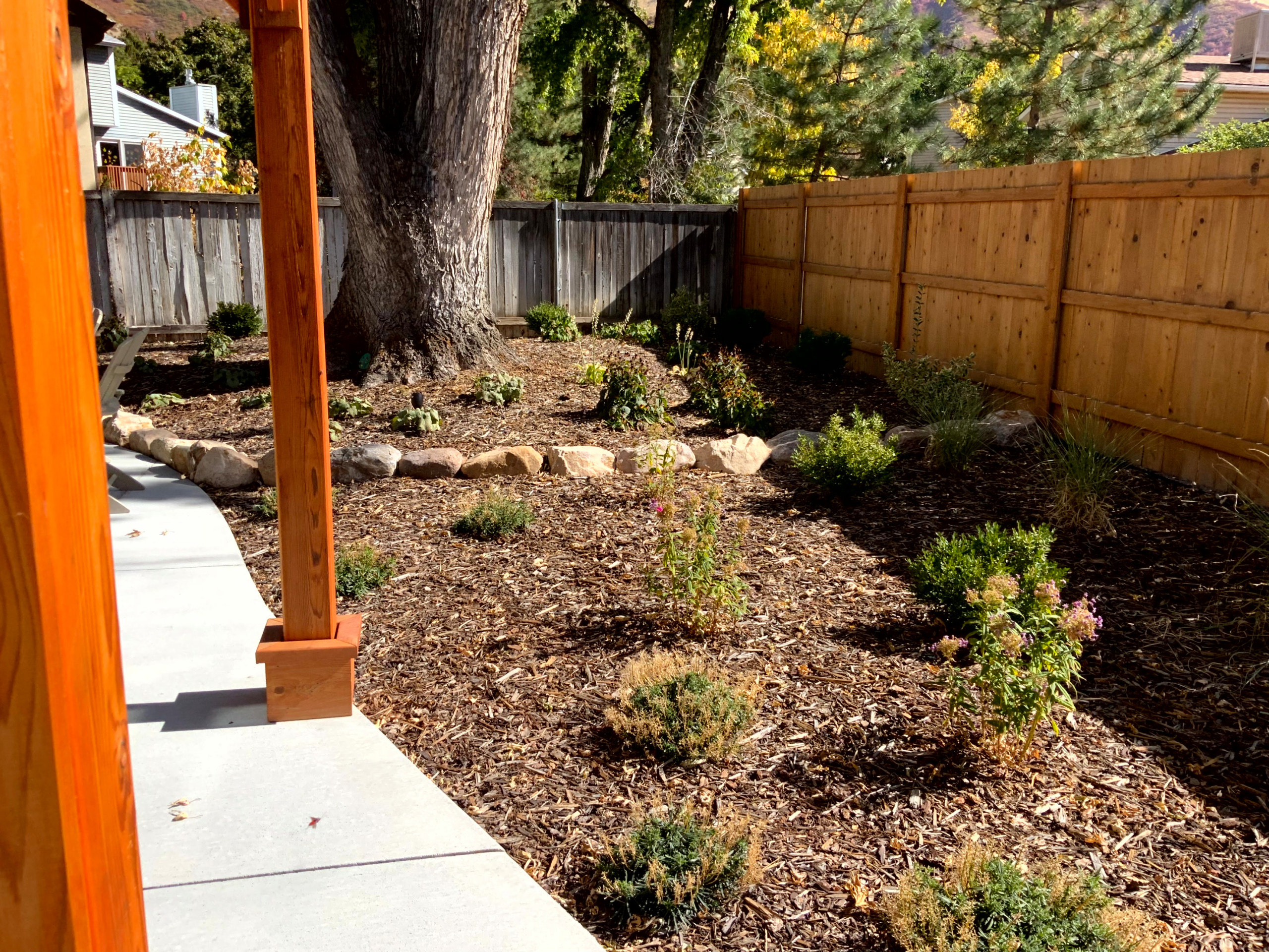 Pollinator Garden