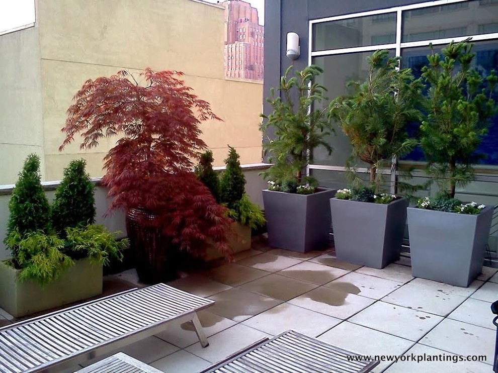 Outdoor planters by New York plantings