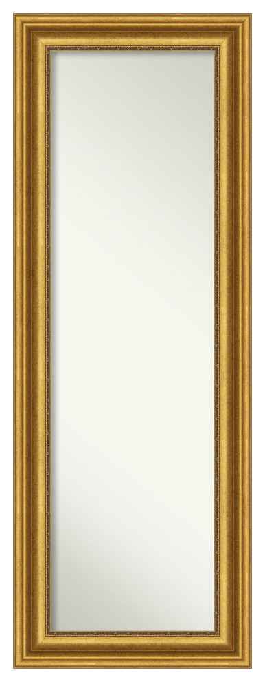 Parlor Gold Non-Beveled Full Length On the Door Mirror - 19.75 x 53.75 in.