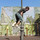 tony_moore31