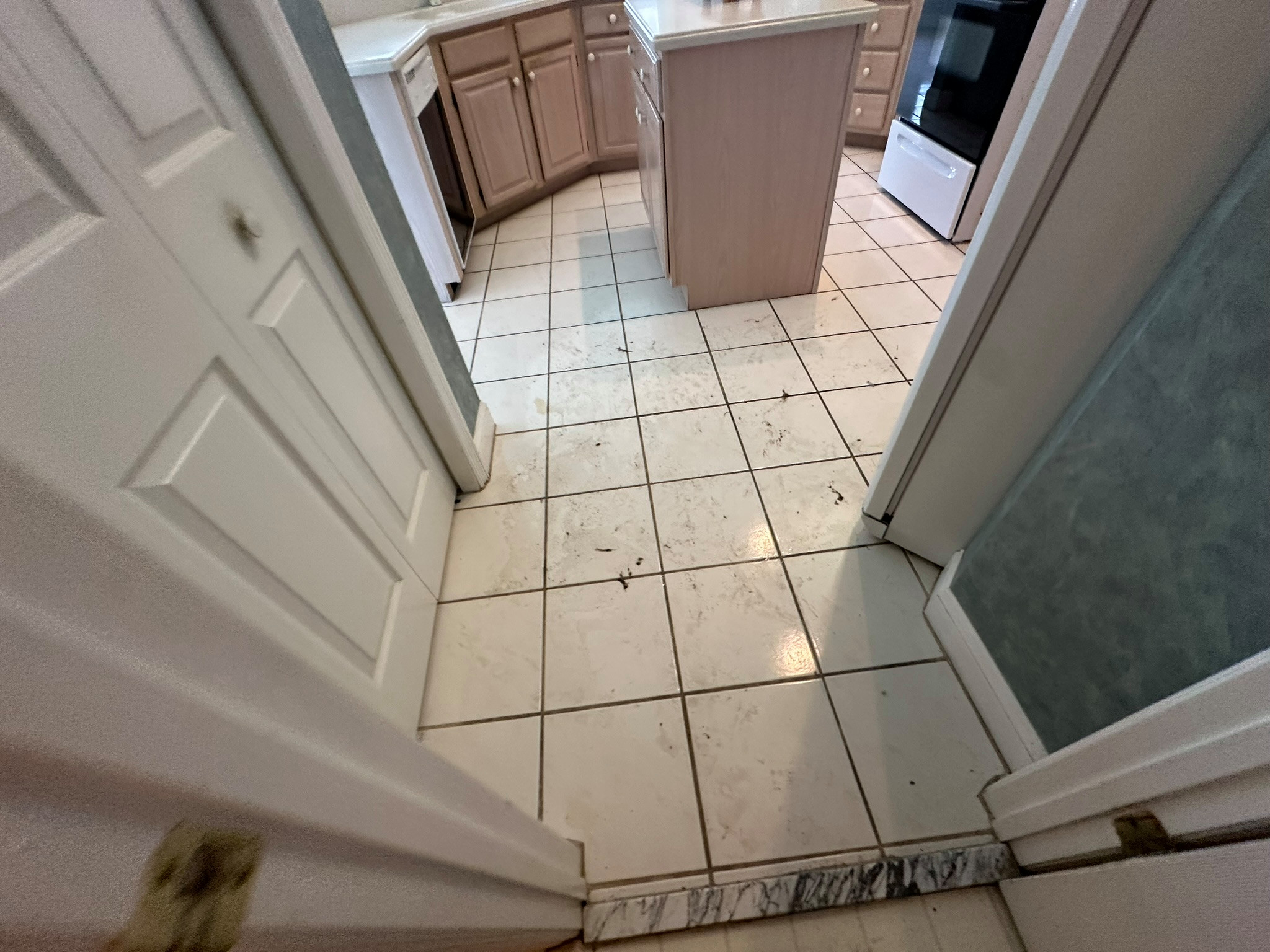 Full Kitchen Remodel | Modern Open-Concept Kitchen Renovation