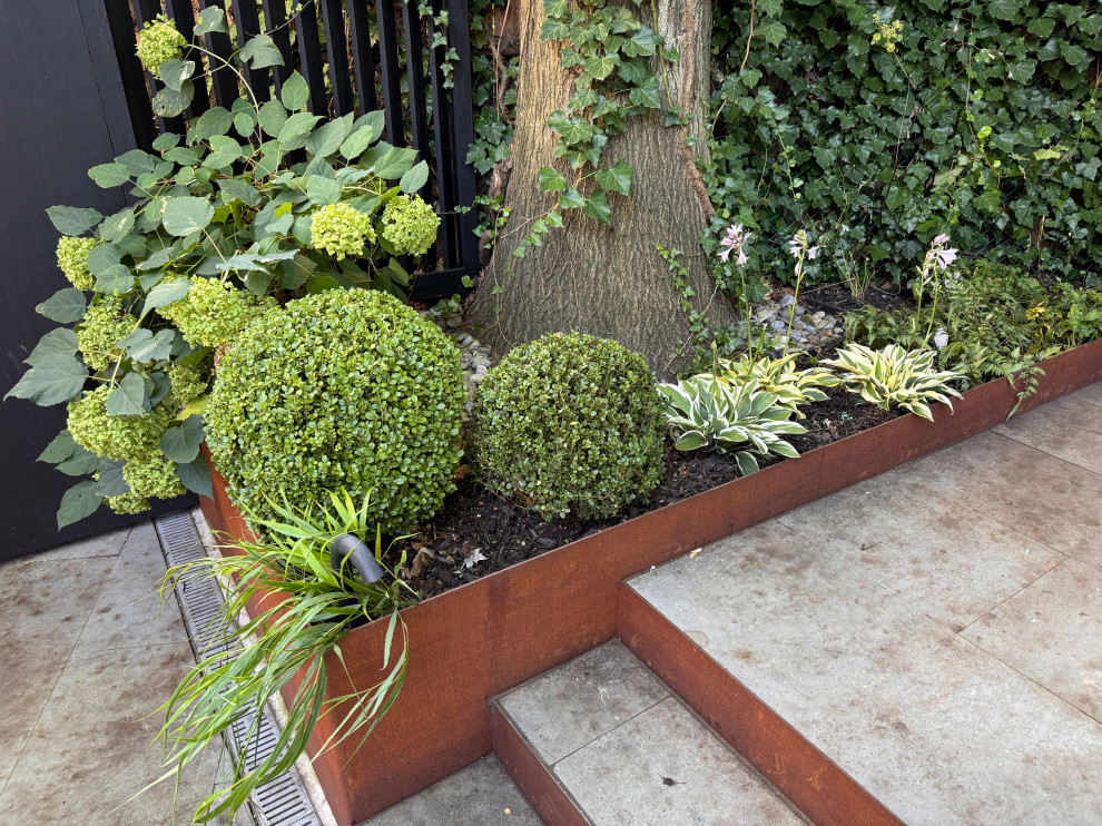 Park Slope backyard corten planters