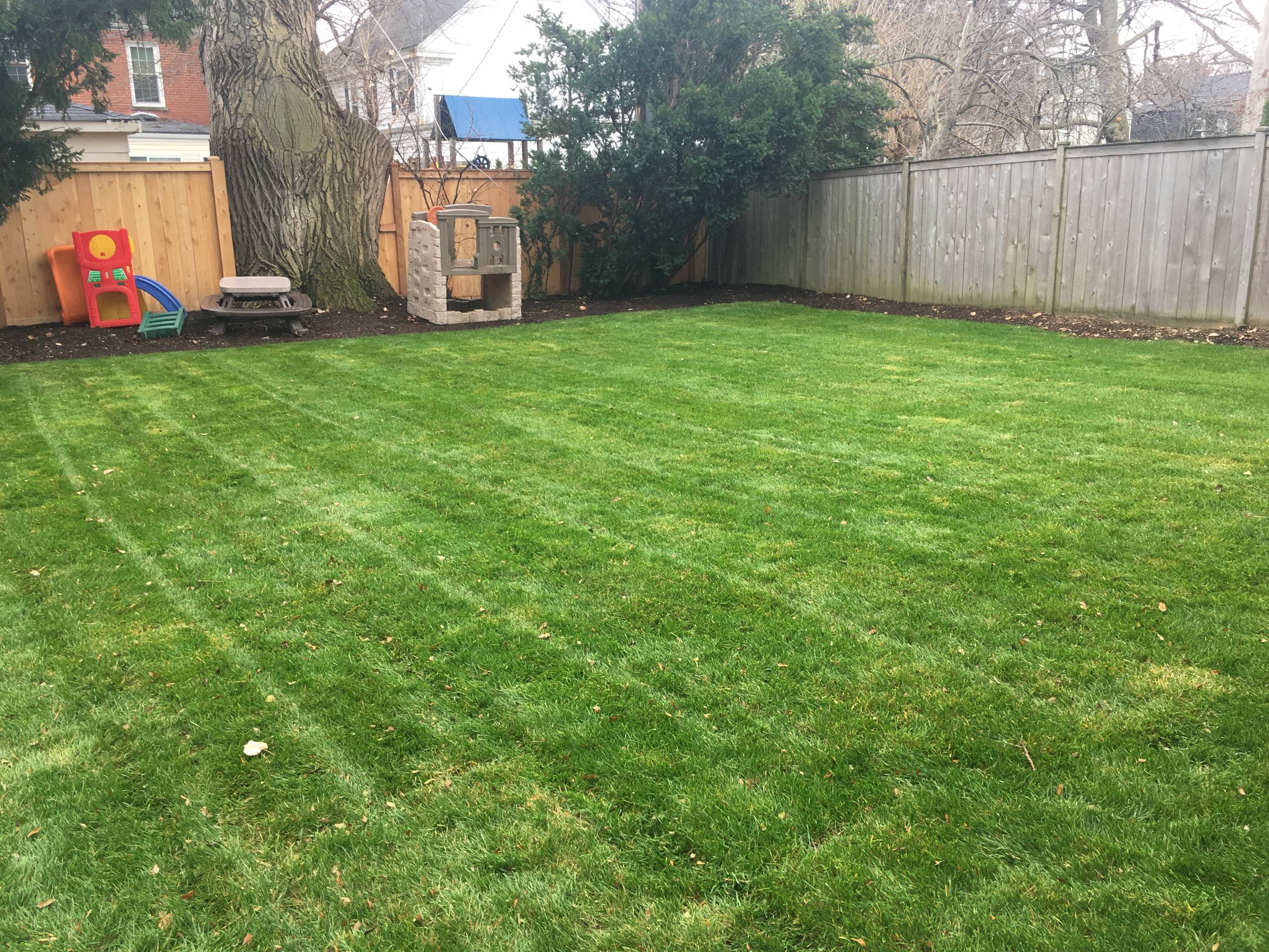 Lawn Installation
