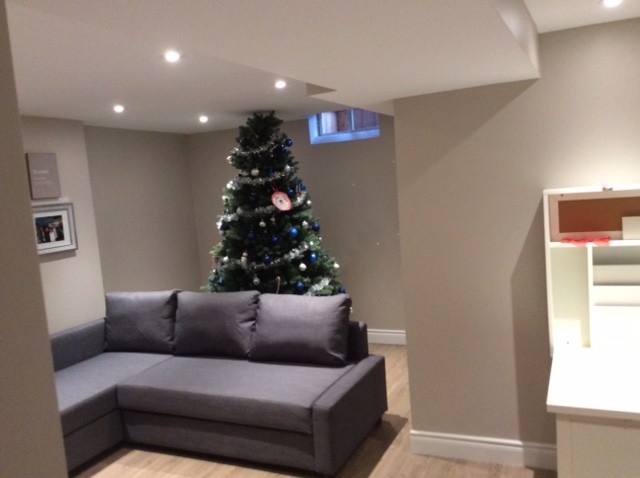 Basement Renovation - Mississauga - December 2107