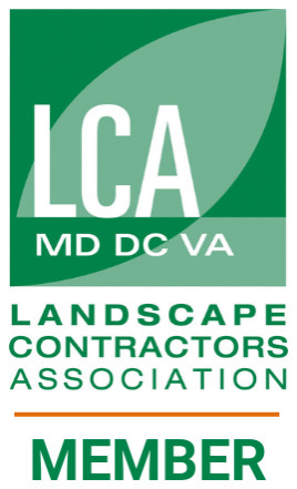 Affiliations and certifications