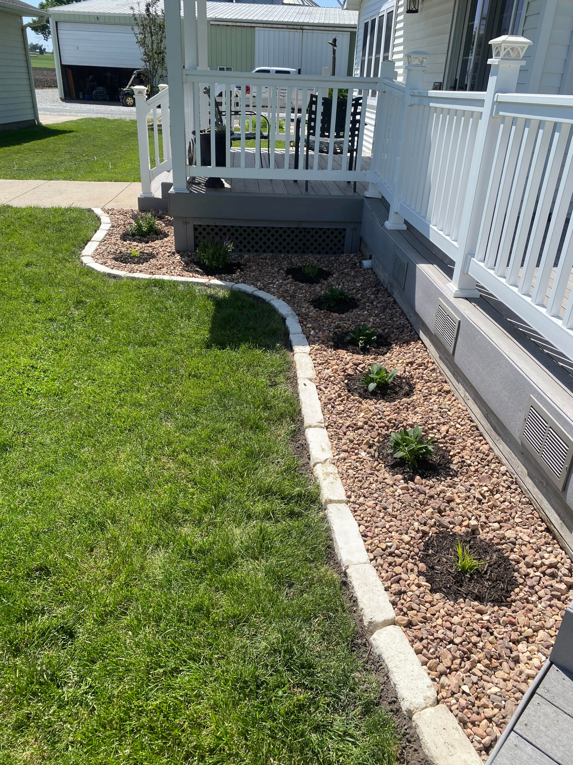 Butterfly Garden
