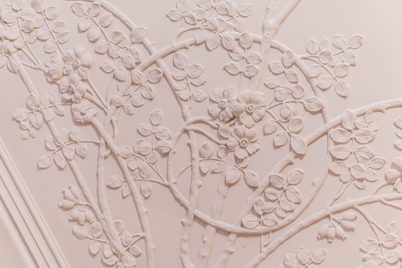 CHATEAU DE LA PETROGRADKA