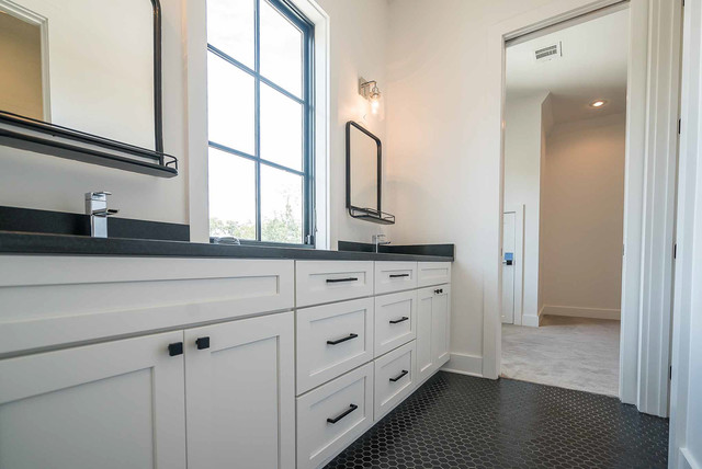 Sanctuary Division transitional