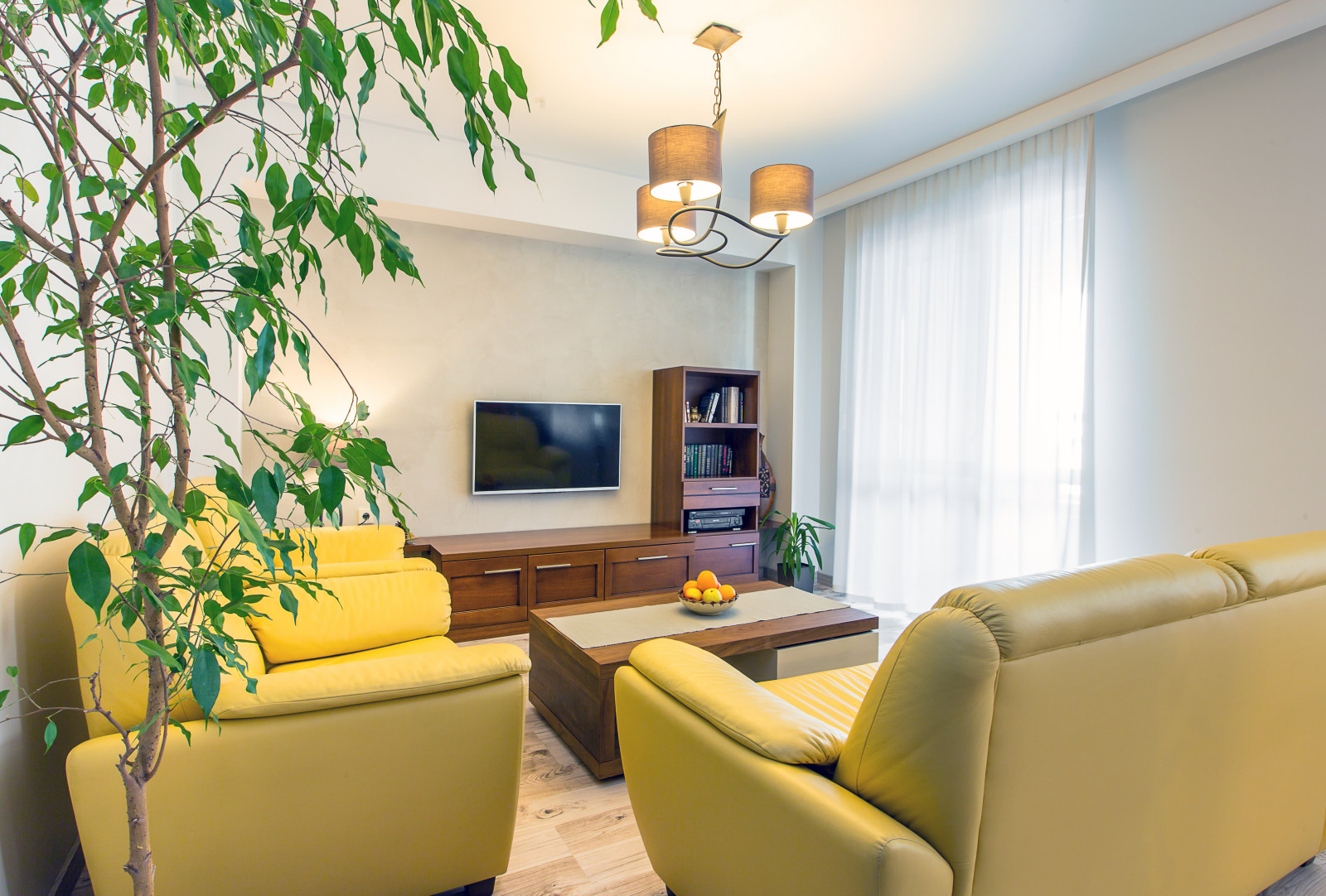 Солнце и капучино