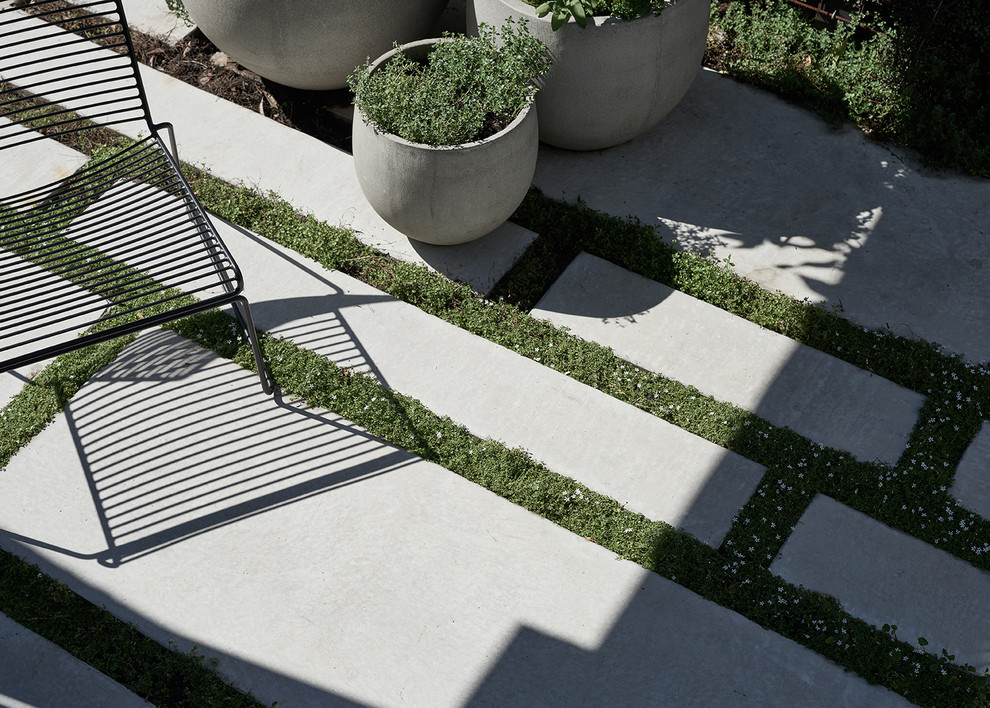 Photo of a small contemporary courtyard garden in Other.