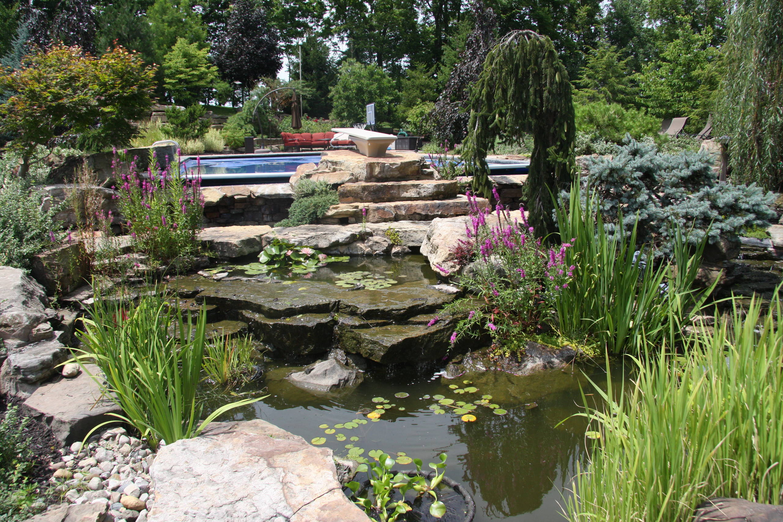 The Kaplan Residence