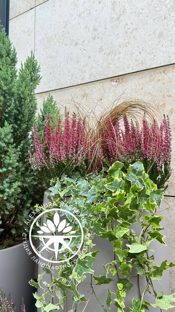 Осеннее оформление