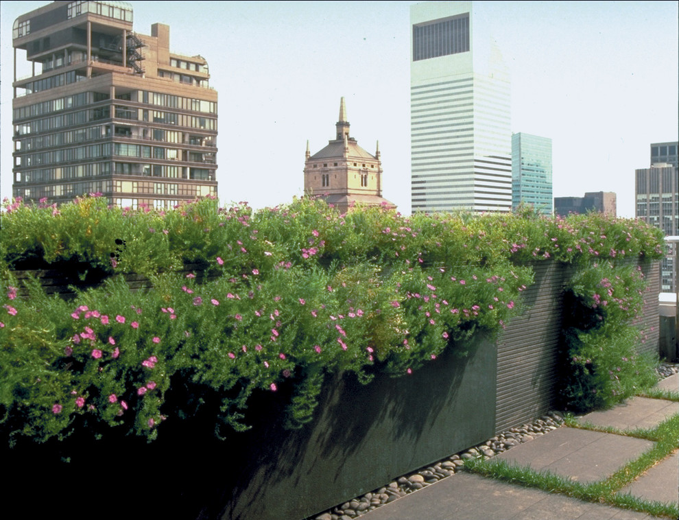 Design ideas for a mid-sized contemporary rooftop full sun garden in New York with a vertical garden.