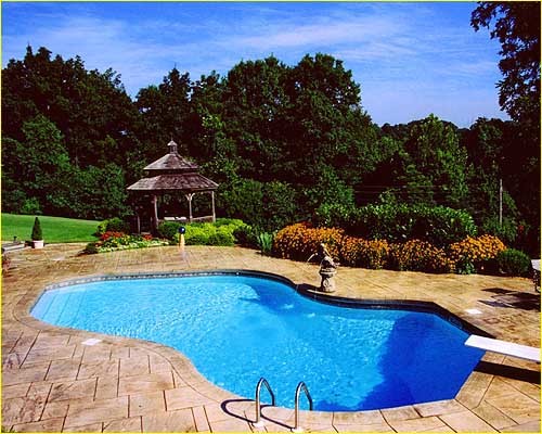 Inspiration for a transitional pool remodel in Chicago