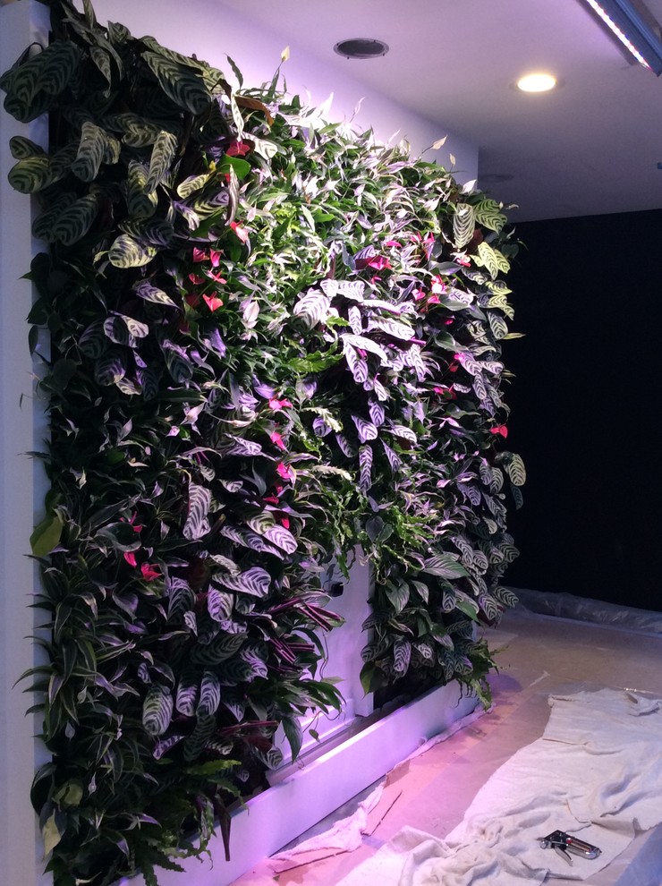 Ванна для Небожителя