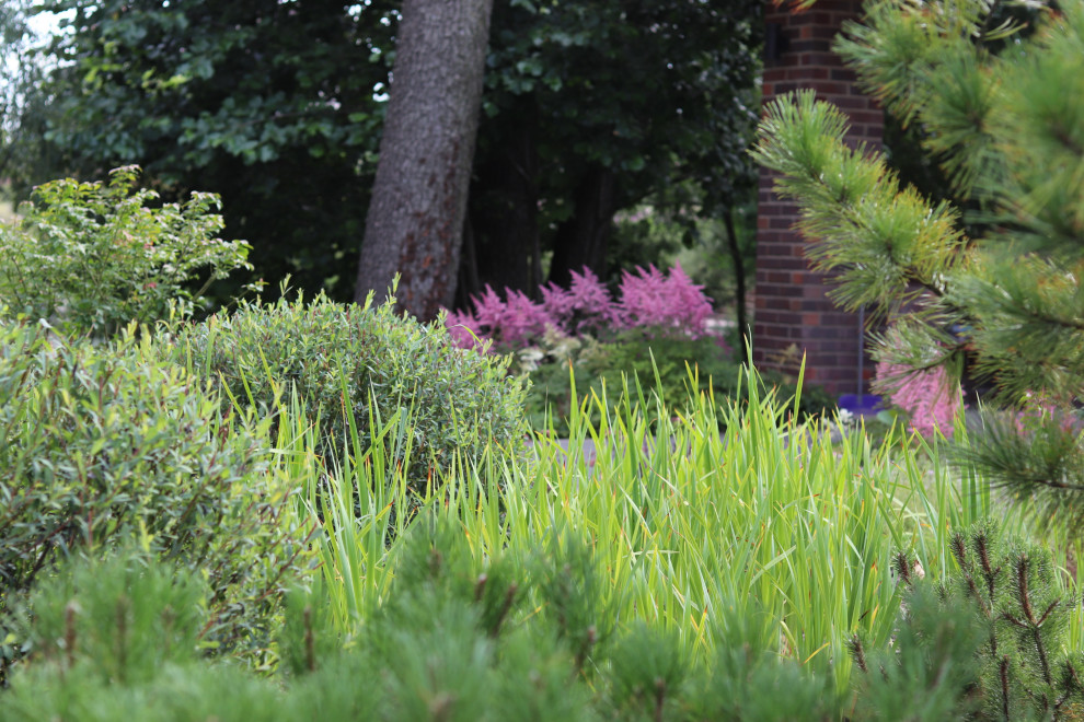 WB Берег пруда (май,июнь)