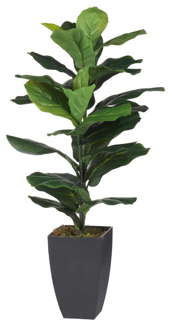 3 Potted Fiddle Leaf Fig Plant Contemporary Artificial Plants 3 Potted Fiddle Leaf Fig Plant