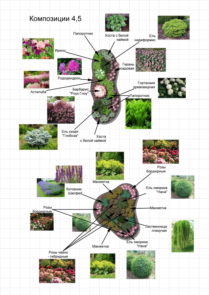 Проектирование участка в  к.п. Аквавилла