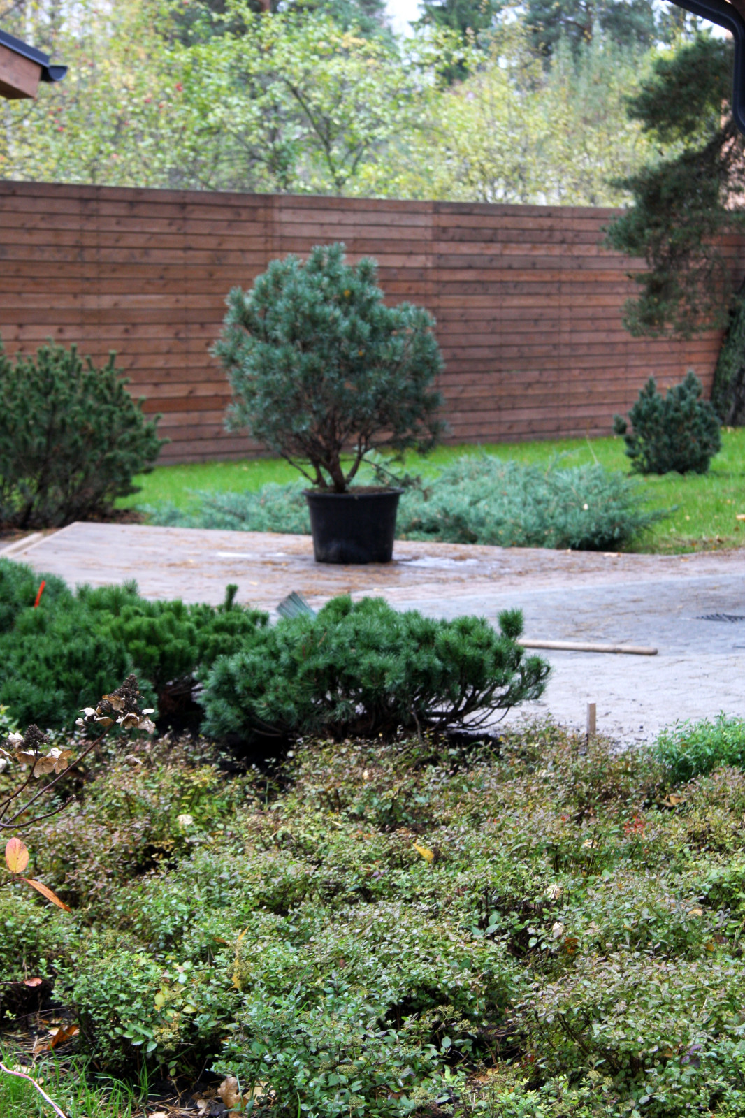 Мощеный двор